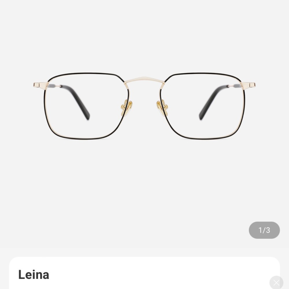 Brand new Tijn Leina black metal frame